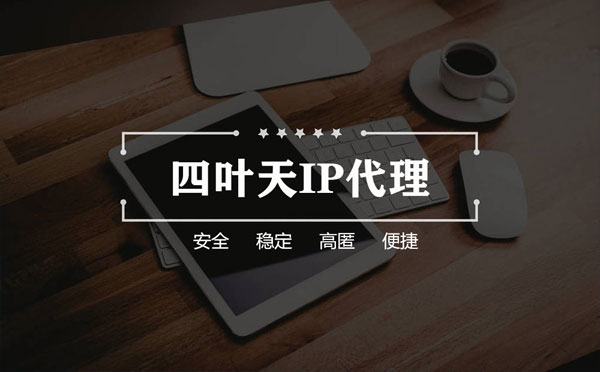 【衡阳代理IP】如何快速搭建代理IP？怎么检查代理的效果？